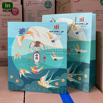 Hộp giấy và túi giấy in logo quà tặng